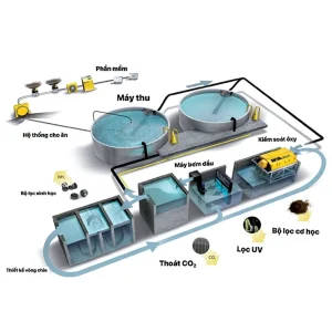 Hệ thống lọc tuần hoàn