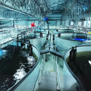 Hệ thống ương cá biển dạng đứng