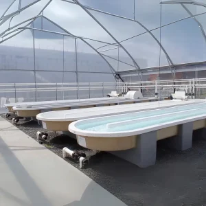 Hệ thống ương cá biển dạng nằm